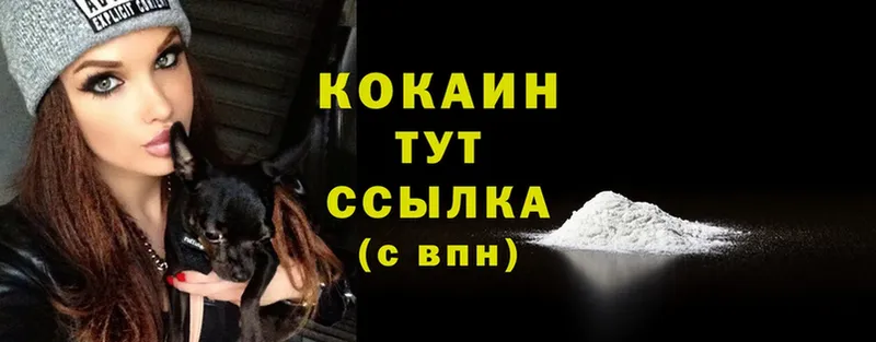 Cocaine Эквадор  где купить наркотик  Елабуга 